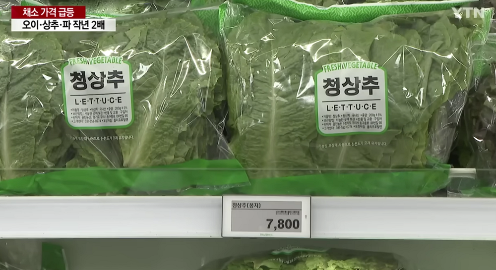  Giá cả leo thang, nhà hàng Hàn Quốc chỉ phục vụ 5 lá xà lách/người