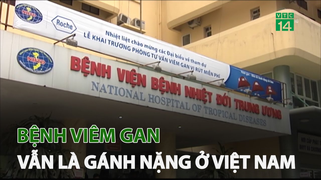 Bệnh viêm gan là gánh nặng lớn ở Việt Nam |