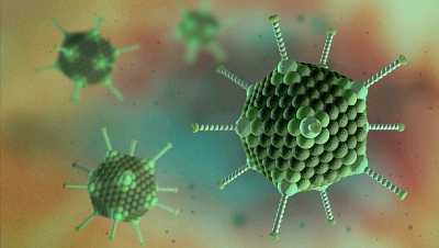 Tăng đột biến Trẻ mắc Adenovirus đã có 6 ca tử vong
