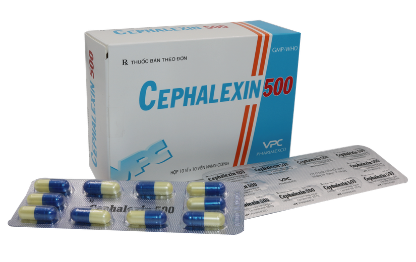 Bộ Y tế cảnh báo về thuốc kháng sinh Cephalexin 500 giả trên thị trường